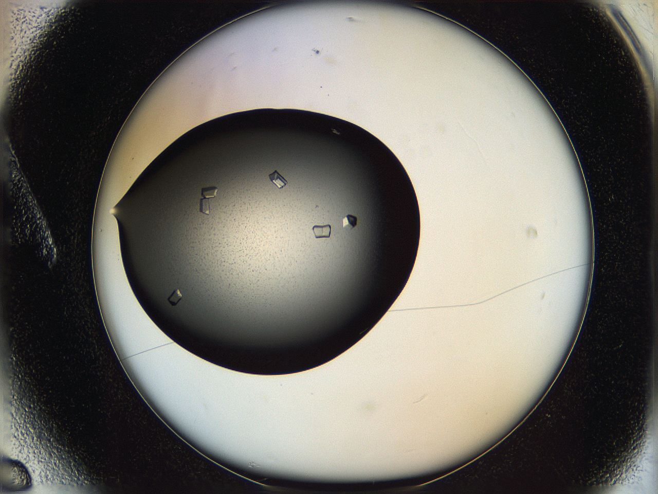 060z_A6_ImagerDefaults_9.jpg