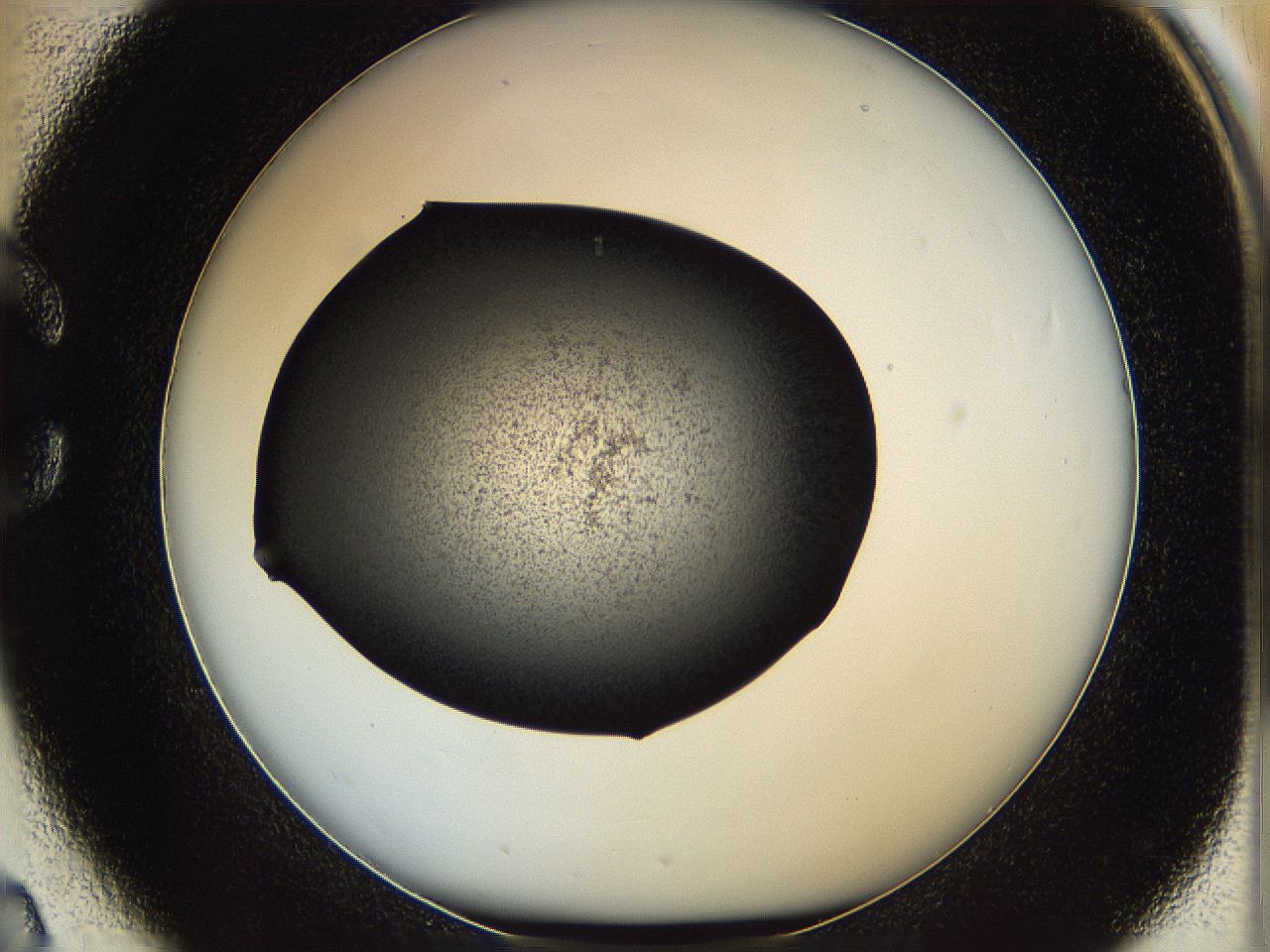 060z_C2_ImagerDefaults_7.jpg