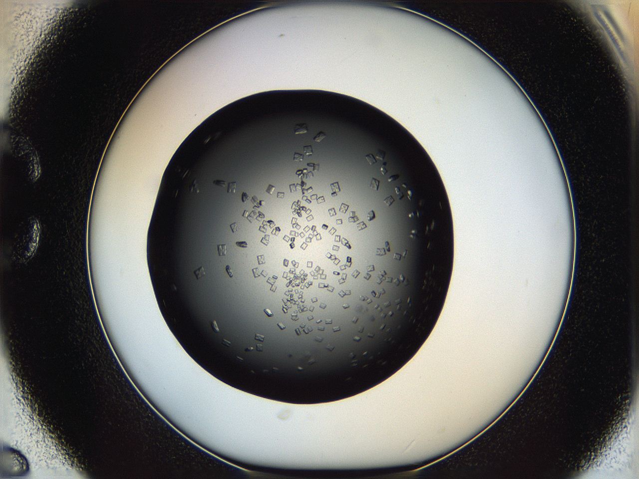 060z_C6_ImagerDefaults_6.jpg