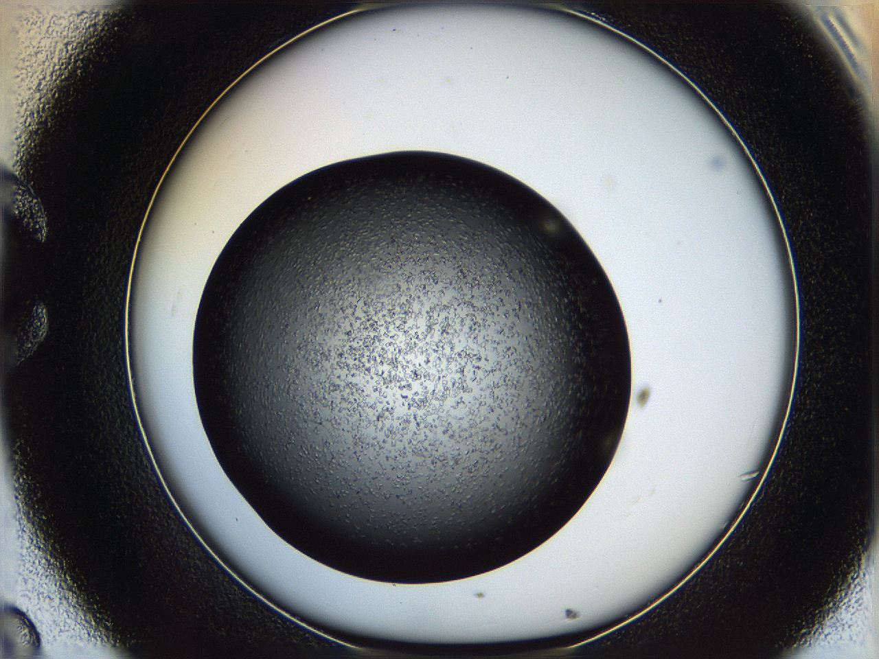 060z_C8_ImagerDefaults_6.jpg