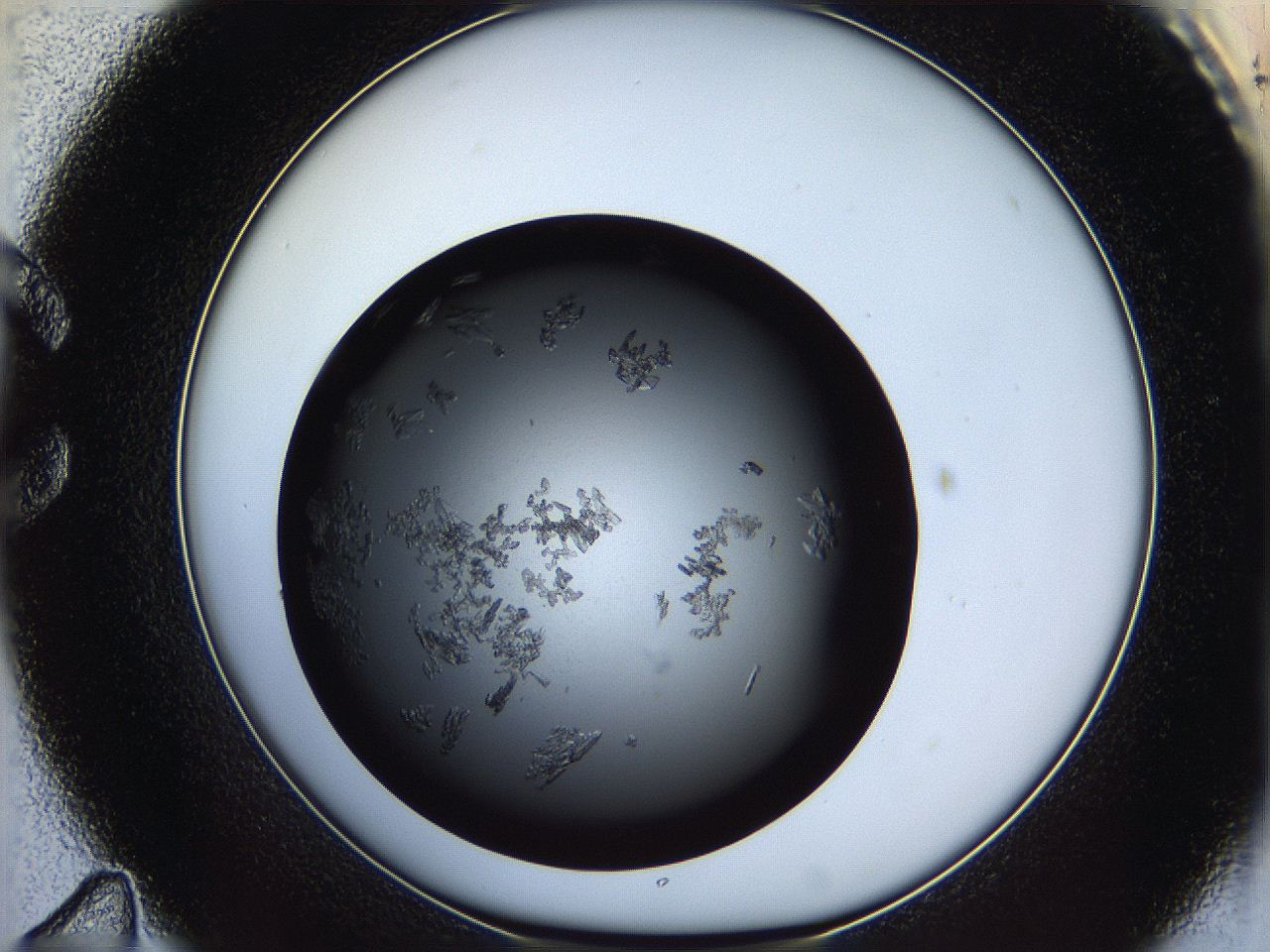 060z_C11_ImagerDefaults_6.jpg