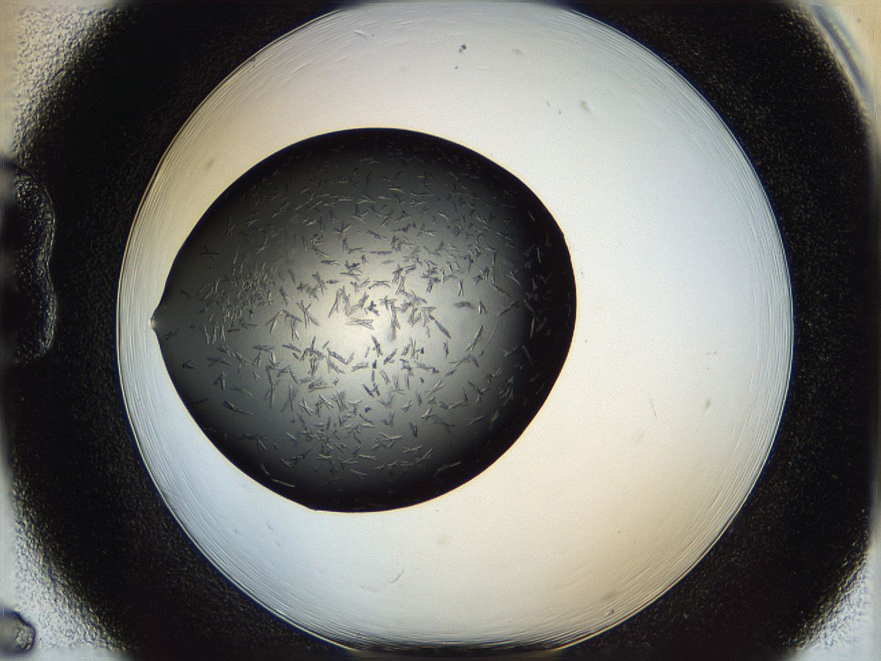 060z_B6_ImagerDefaults_6.jpg