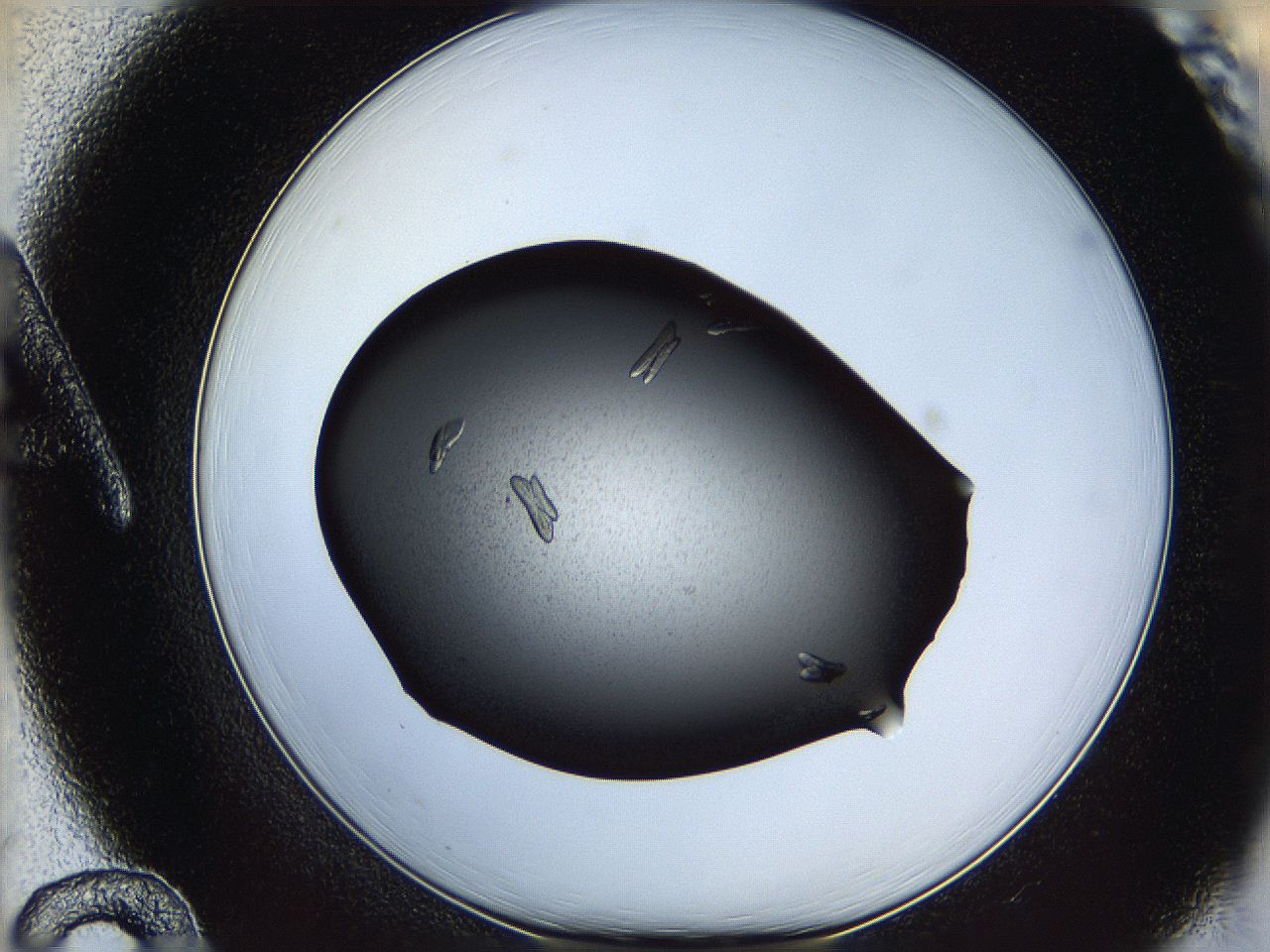 060z_A12_ImagerDefaults_8.jpg