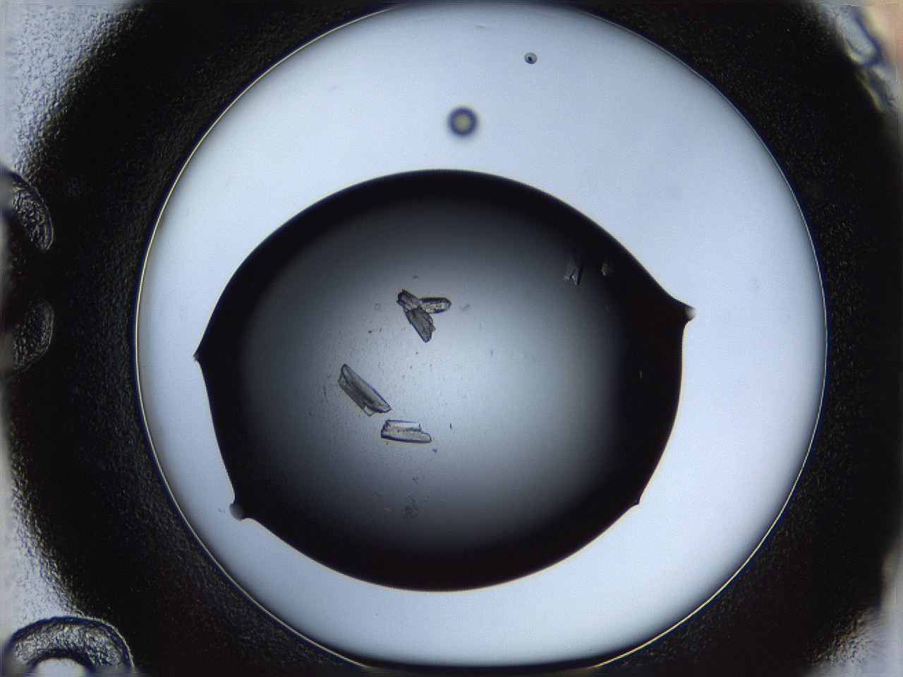060z_C12_ImagerDefaults_9.jpg