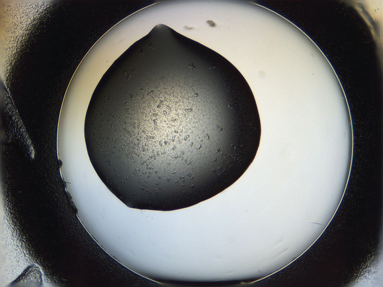 060z_A11_ImagerDefaults_6.jpg