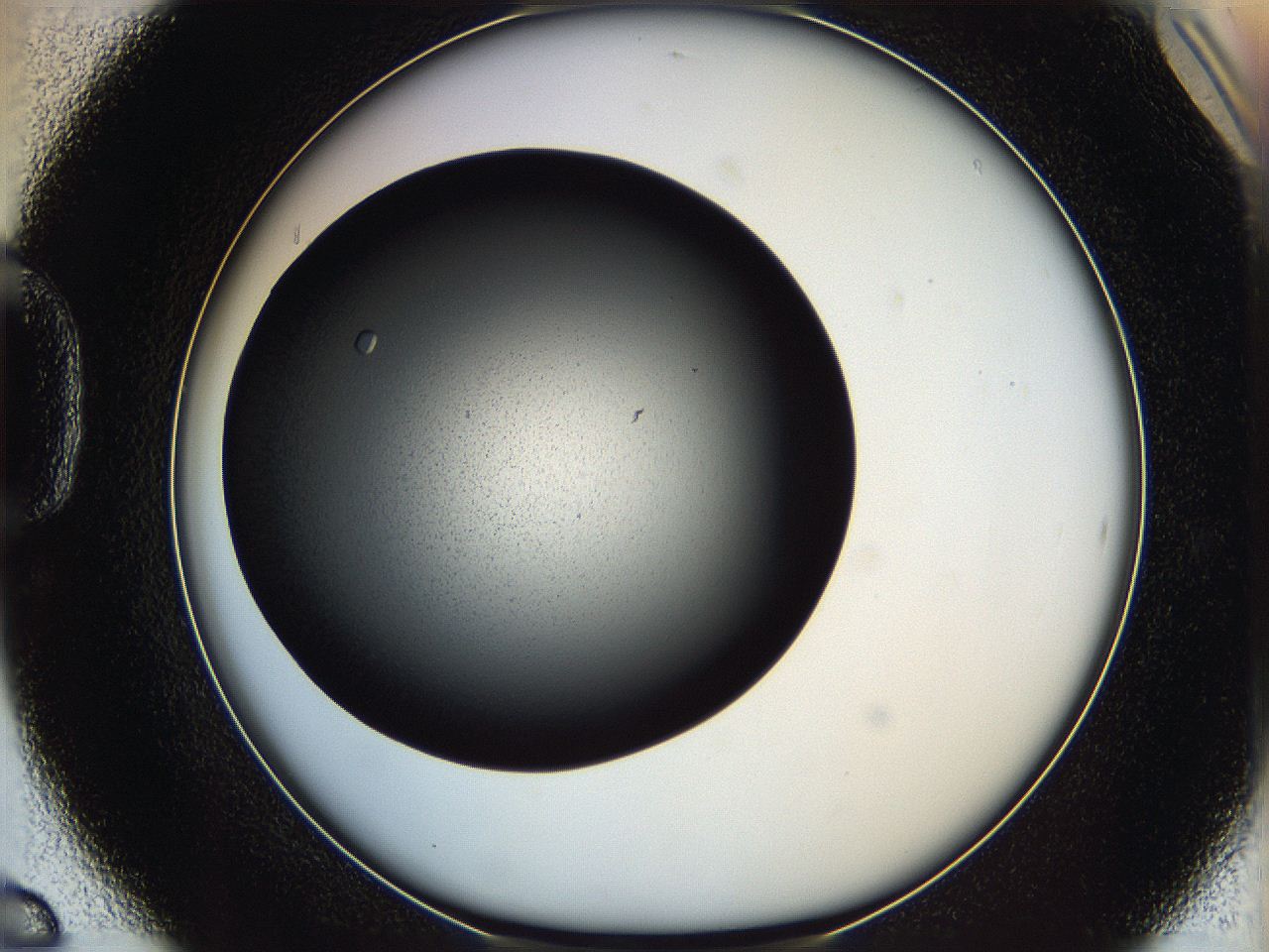 060z_D6_ImagerDefaults_7.jpg