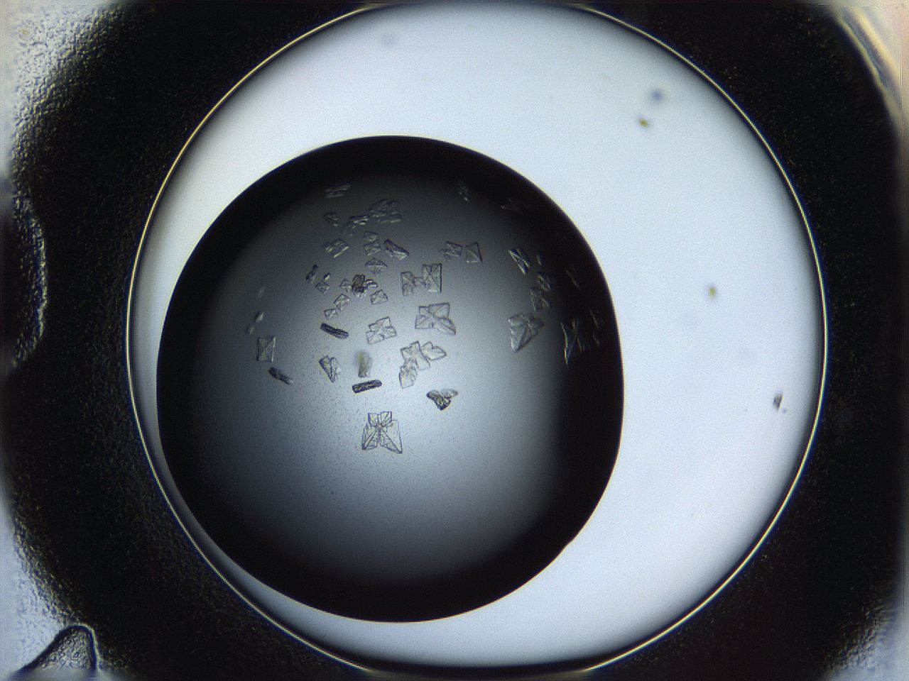 060z_D11_ImagerDefaults_9.jpg