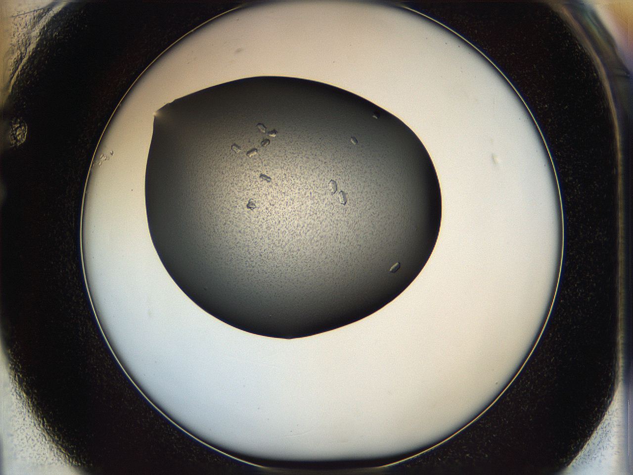 060z_F1_ImagerDefaults_6.jpg