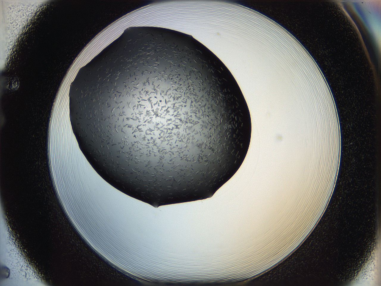 060z_F5_ImagerDefaults_6.jpg