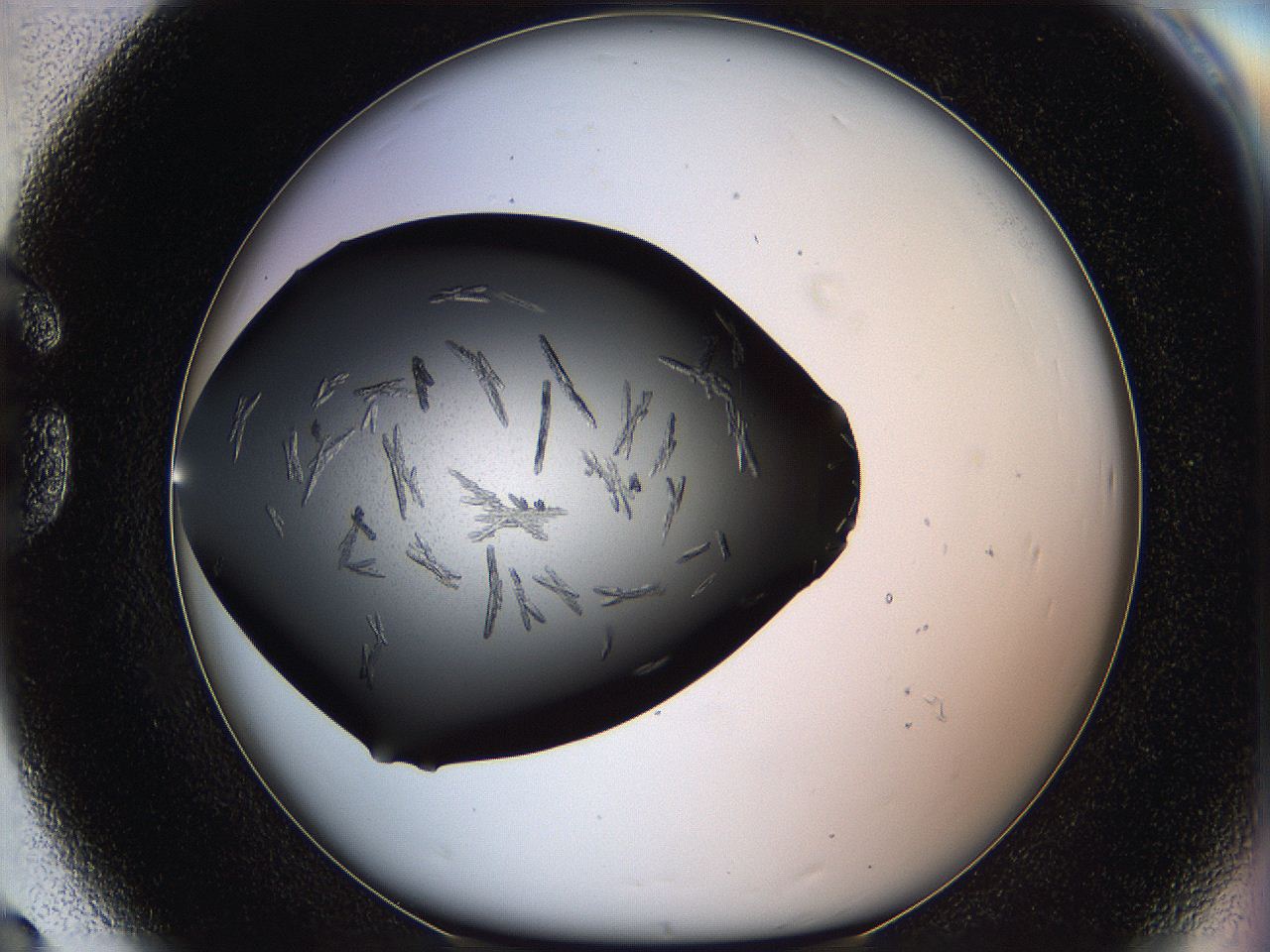 060z_G8_ImagerDefaults_8.jpg