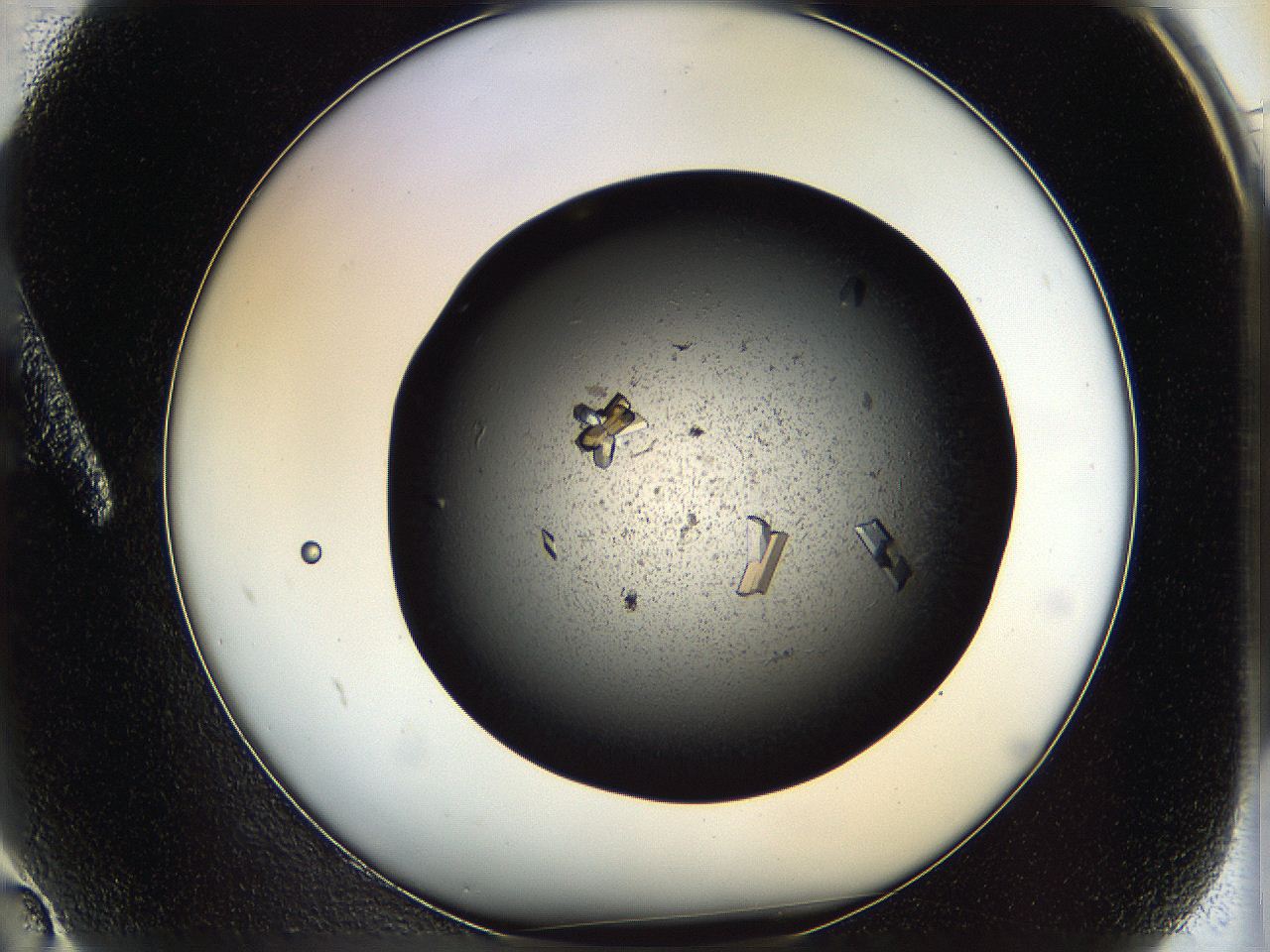 0612_A2_ImagerDefaults_9.jpg