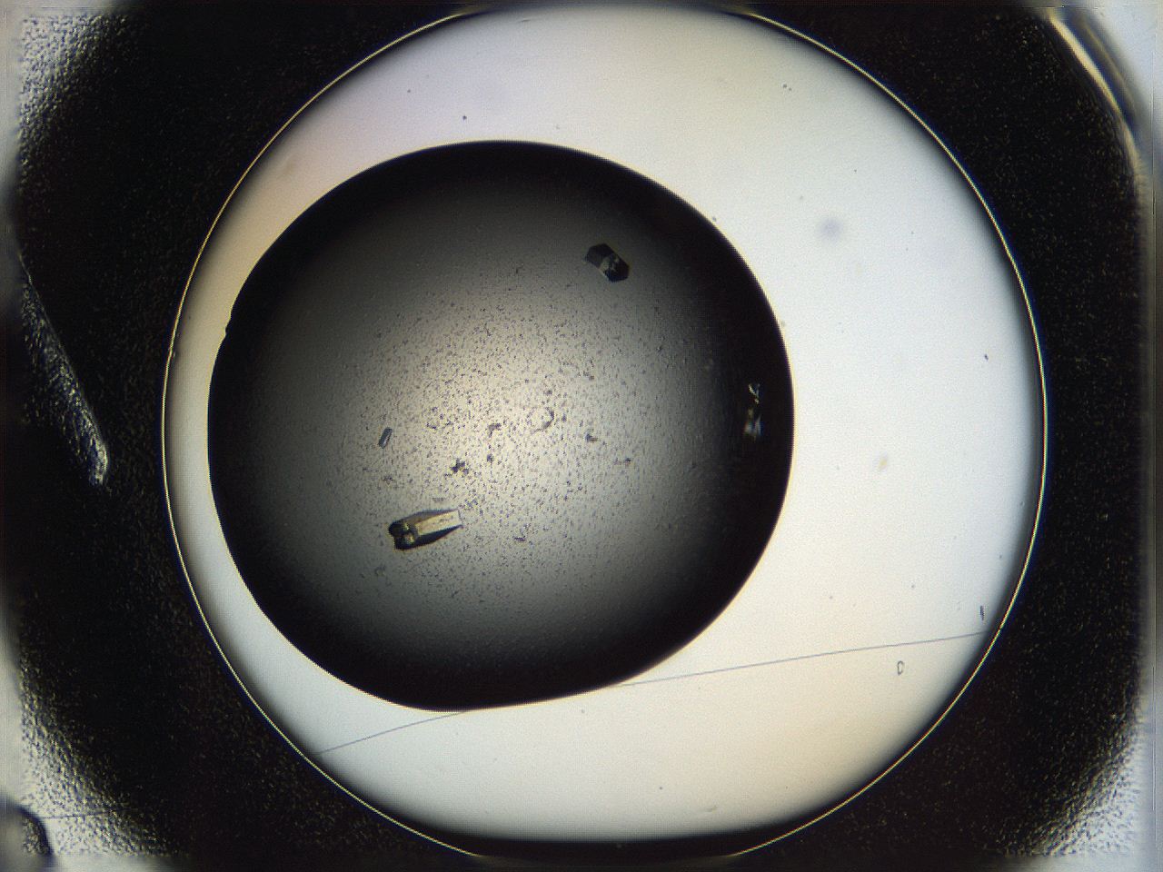 0612_A3_ImagerDefaults_9.jpg