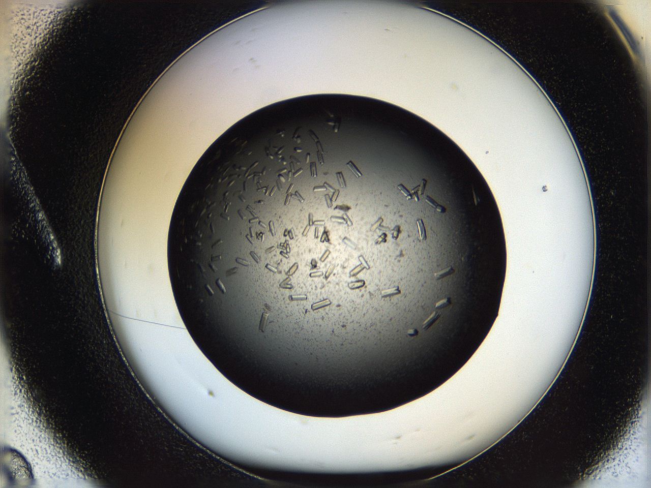 0612_A8_ImagerDefaults_7.jpg