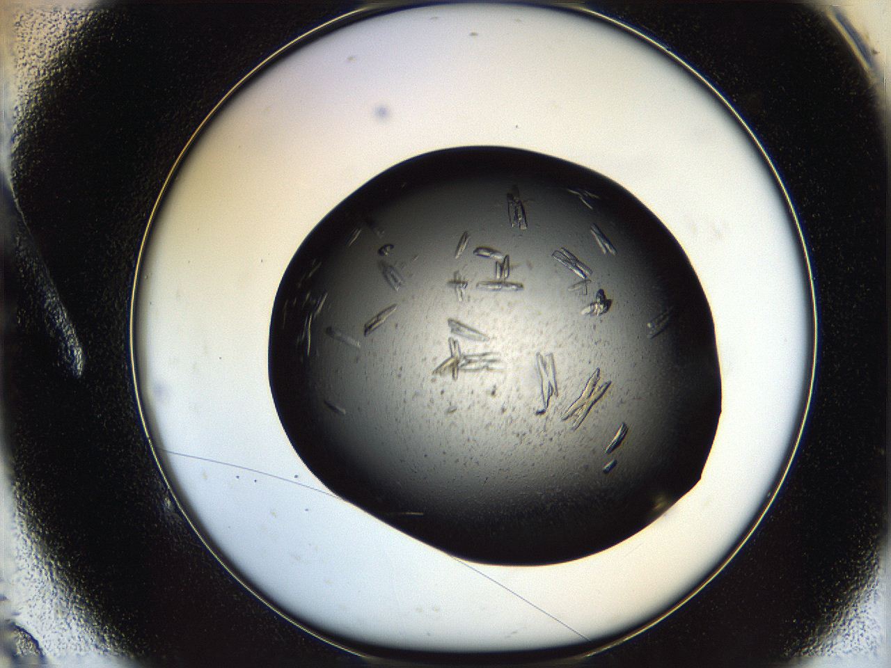 0612_A9_ImagerDefaults_7.jpg