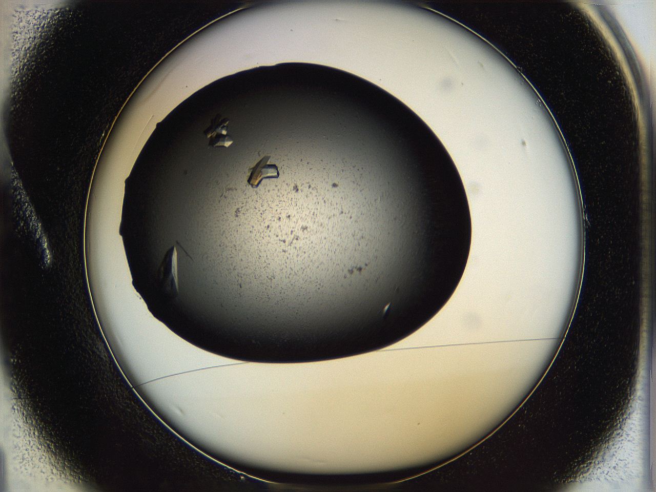0612_A1_ImagerDefaults_9.jpg