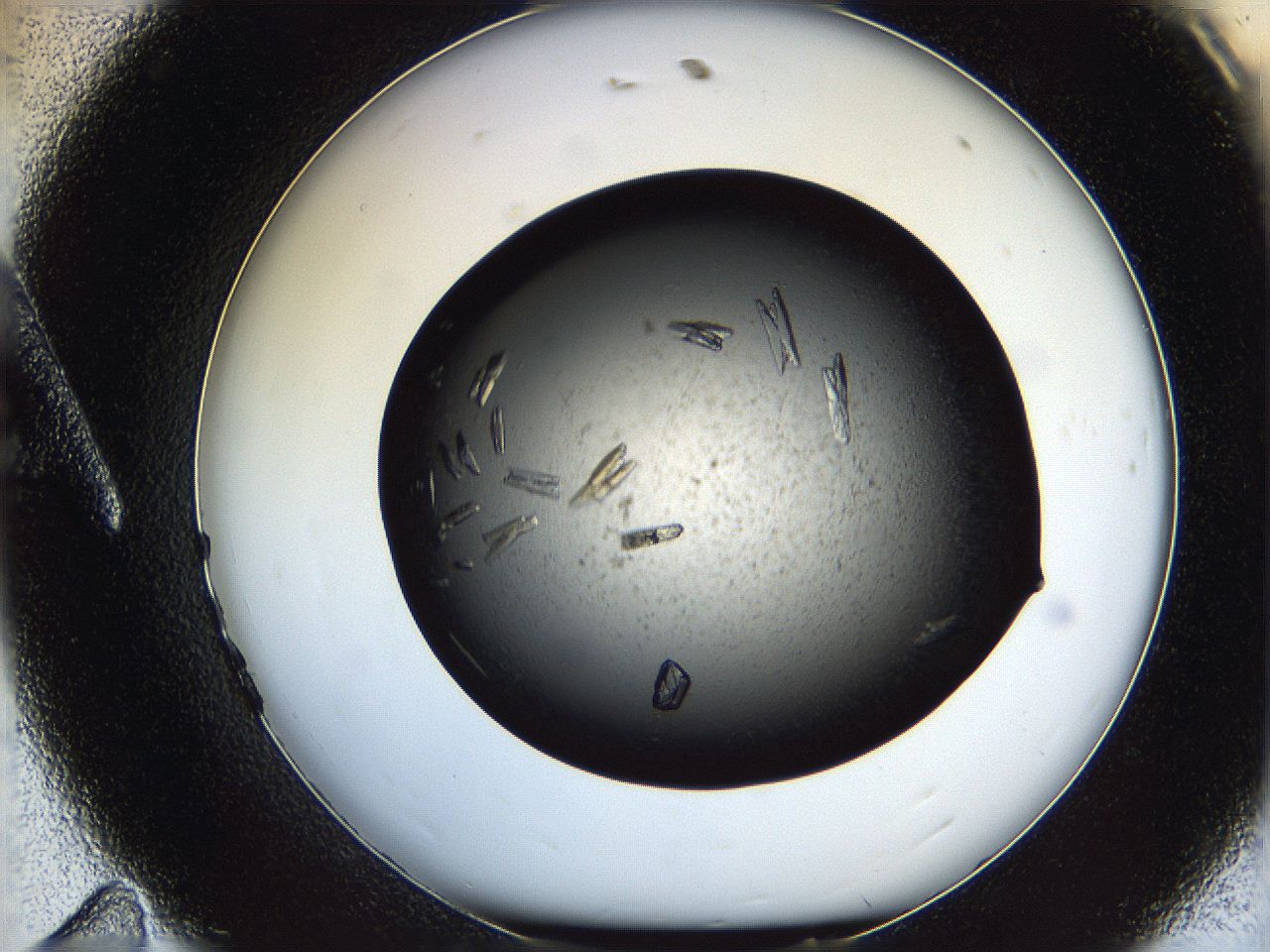 0612_A11_ImagerDefaults_7.jpg