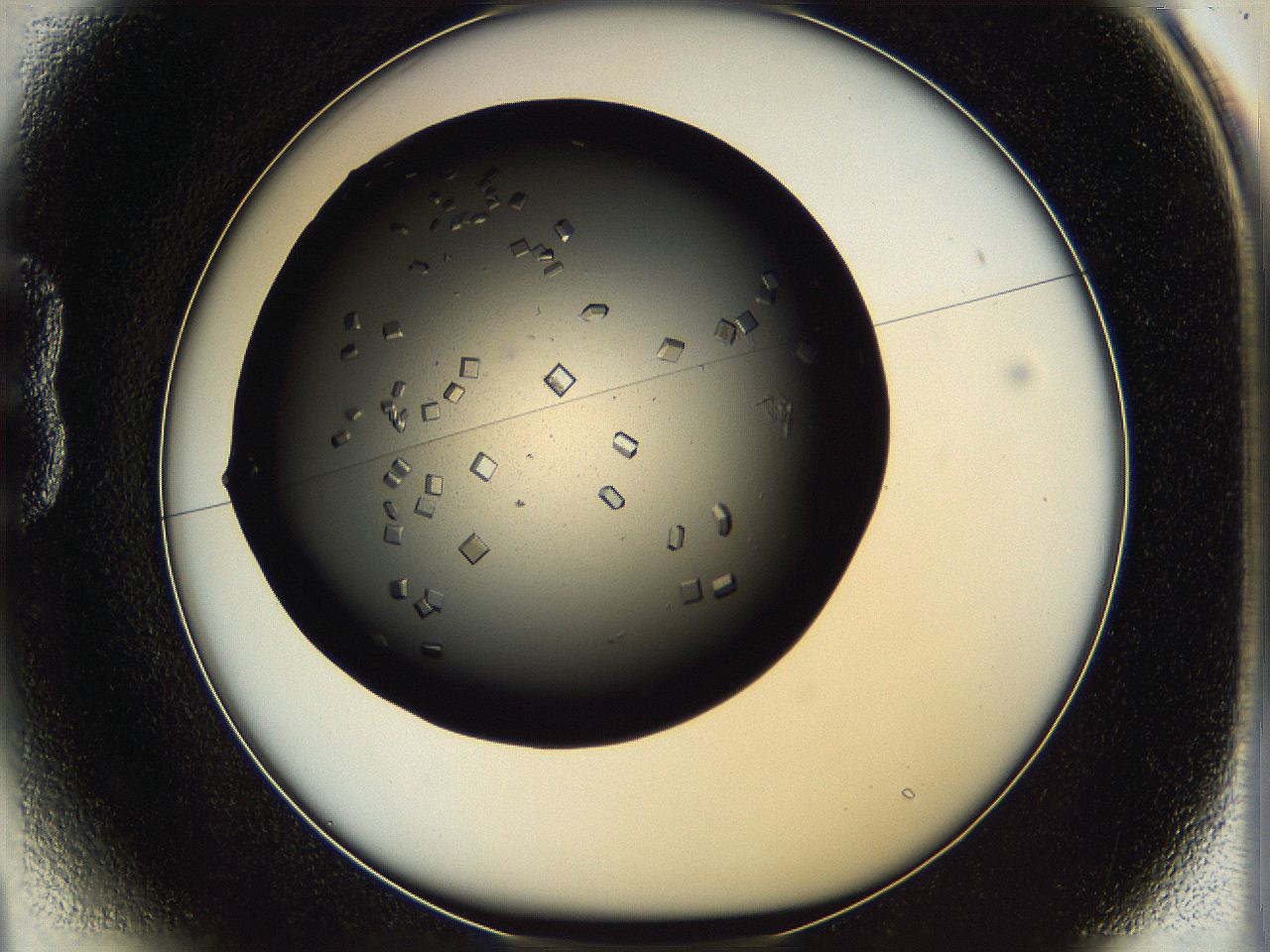 0612_B1_ImagerDefaults_7.jpg