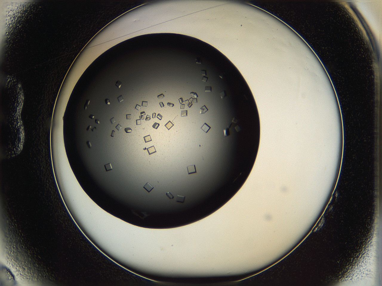 0612_B2_ImagerDefaults_7.jpg
