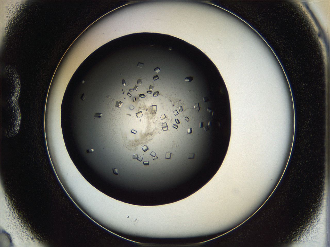 0612_B3_ImagerDefaults_7.jpg