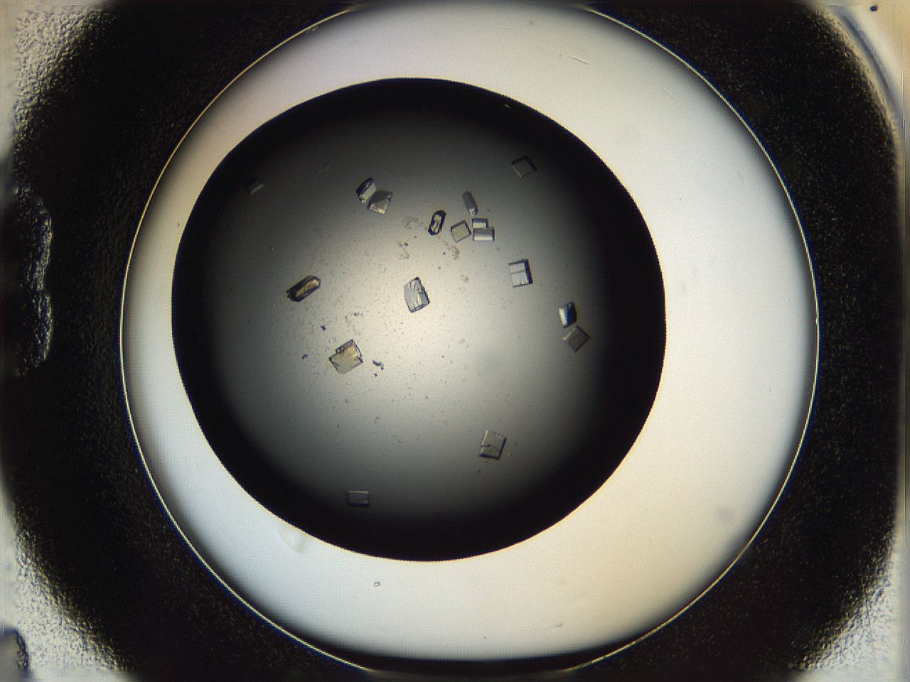 0612_B4_ImagerDefaults_9.jpg