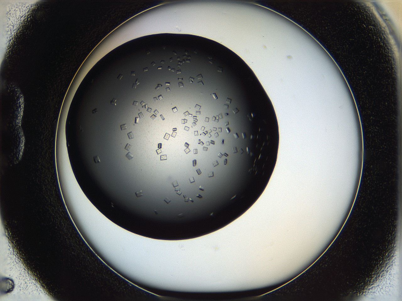 0612_B5_ImagerDefaults_7.jpg