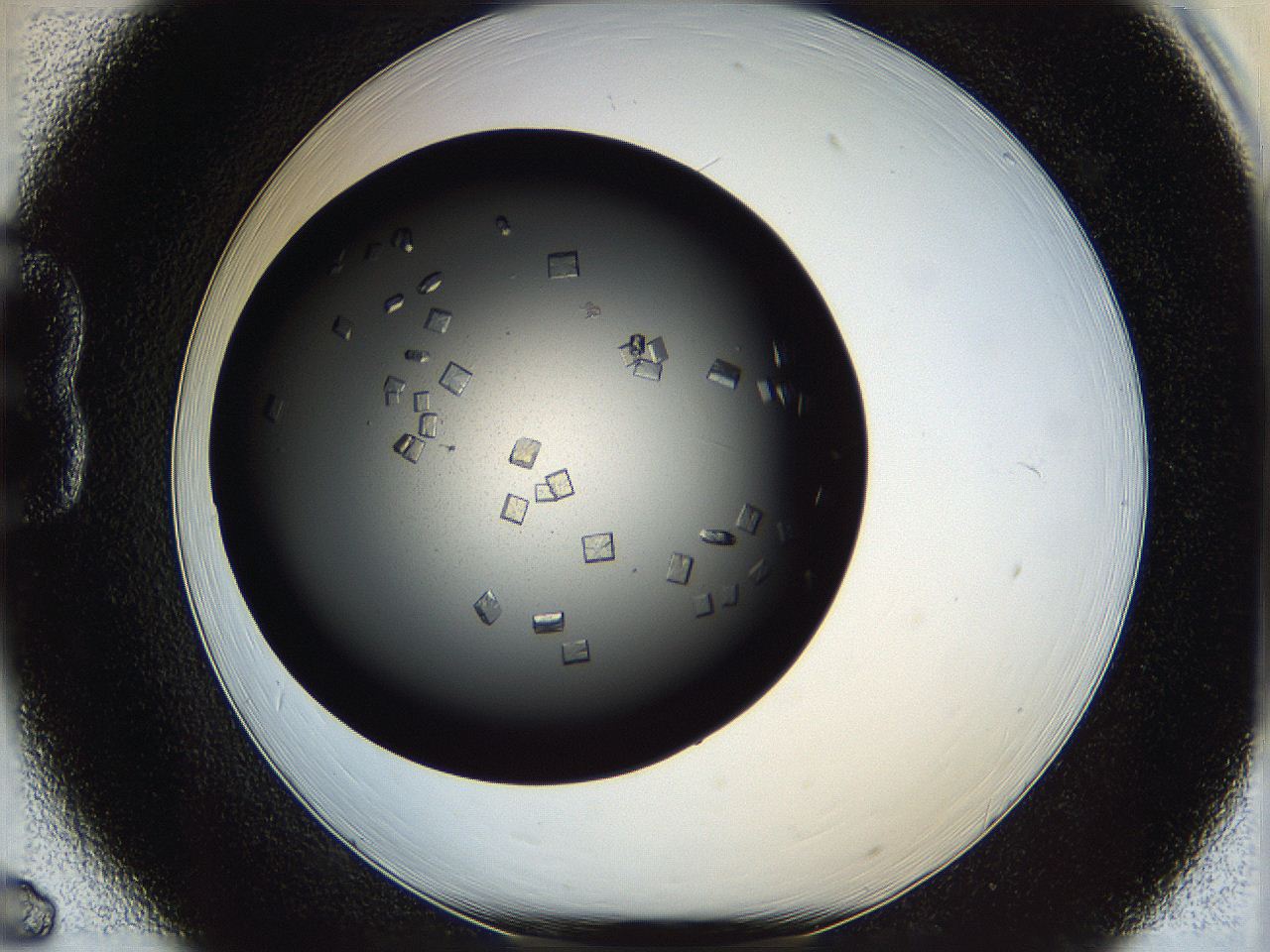 0612_B6_ImagerDefaults_7.jpg