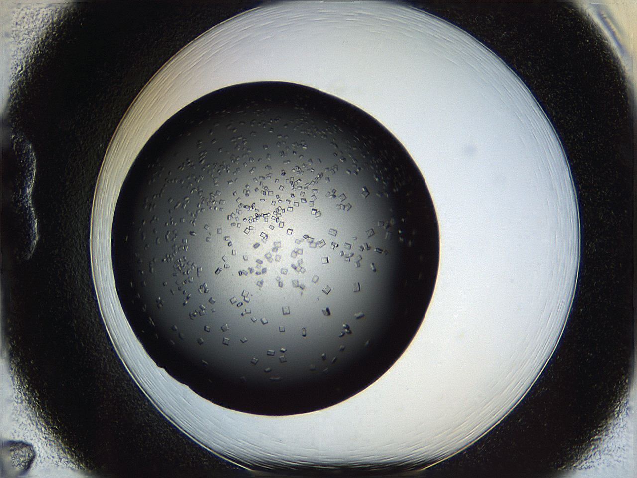 0612_B7_ImagerDefaults_6.jpg