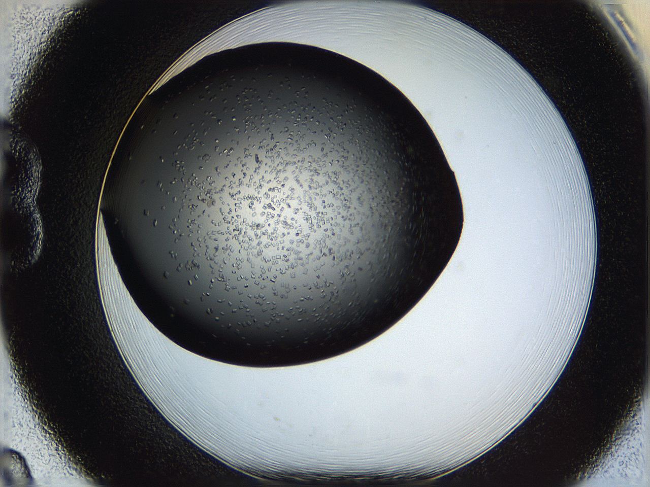 0612_B8_ImagerDefaults_6.jpg