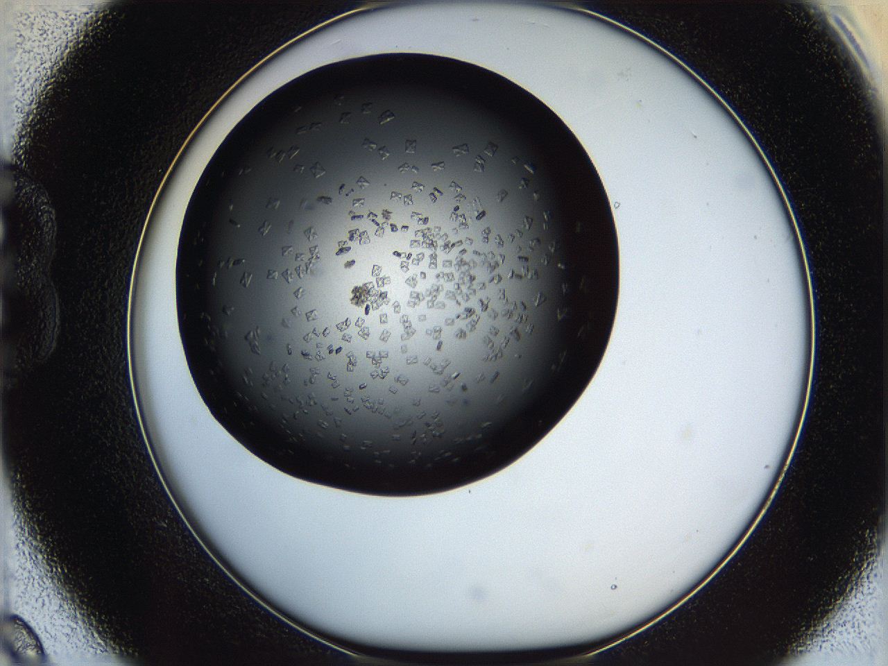 0612_B9_ImagerDefaults_6.jpg