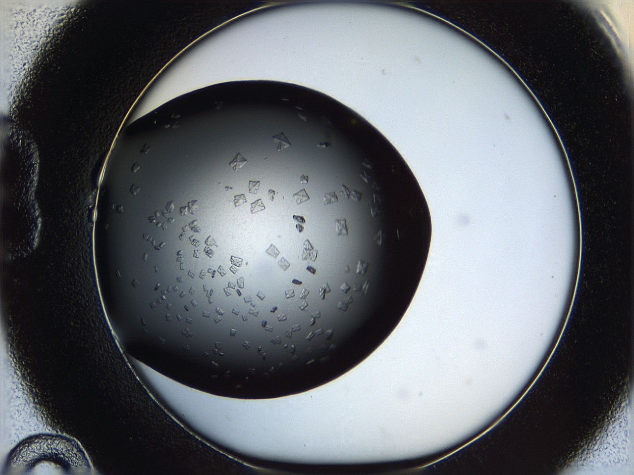 0612_B10_ImagerDefaults_8.jpg
