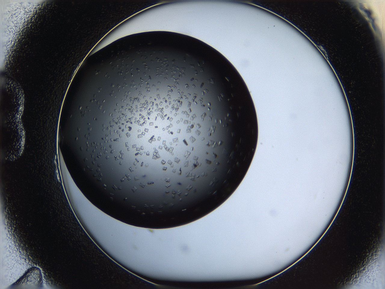 0612_B11_ImagerDefaults_6.jpg