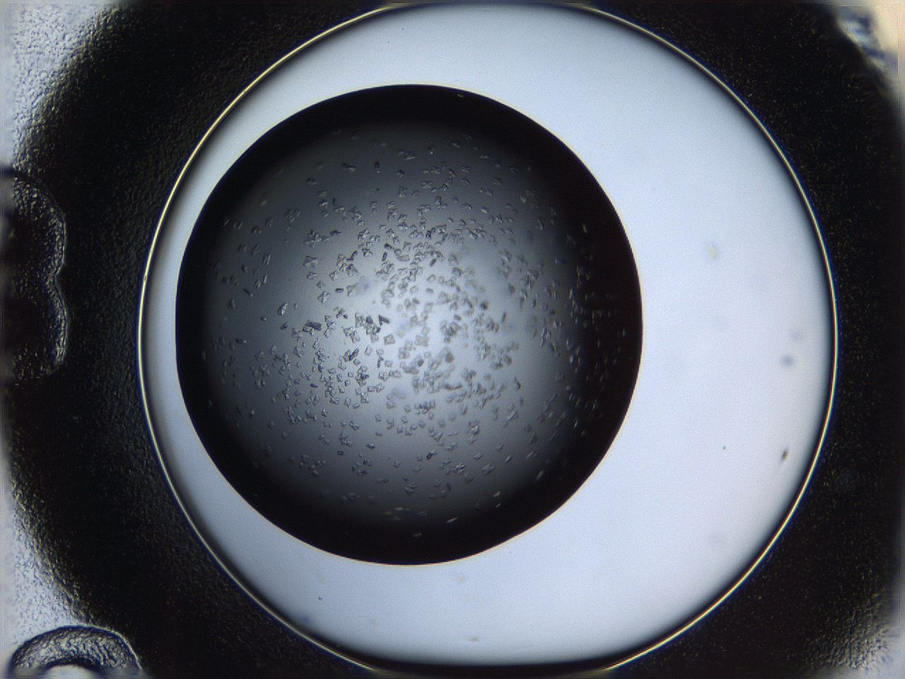 0612_B12_ImagerDefaults_6.jpg