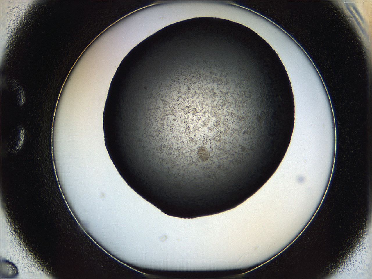 0612_C6_ImagerDefaults_6.jpg