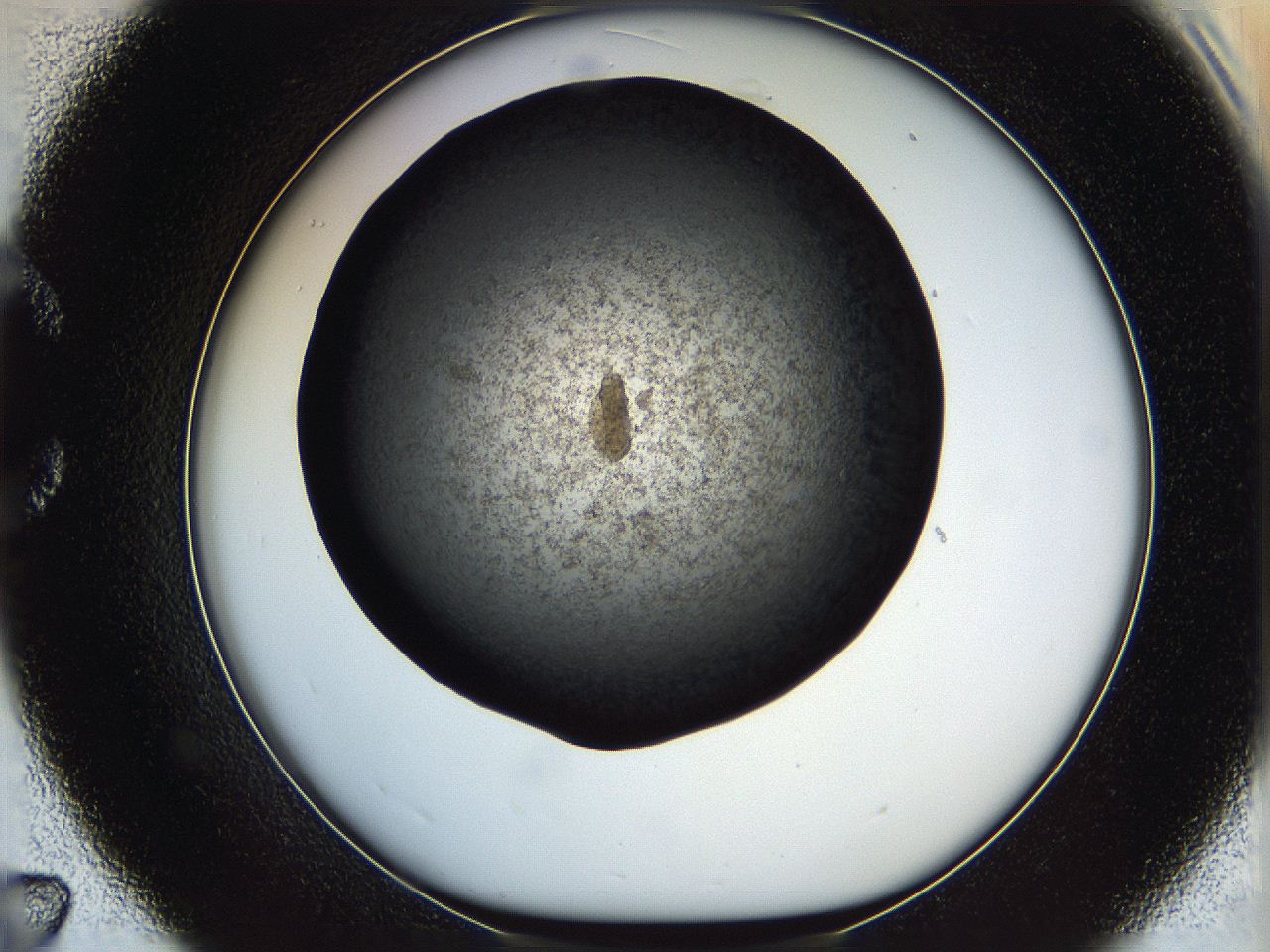 0612_C7_ImagerDefaults_6.jpg