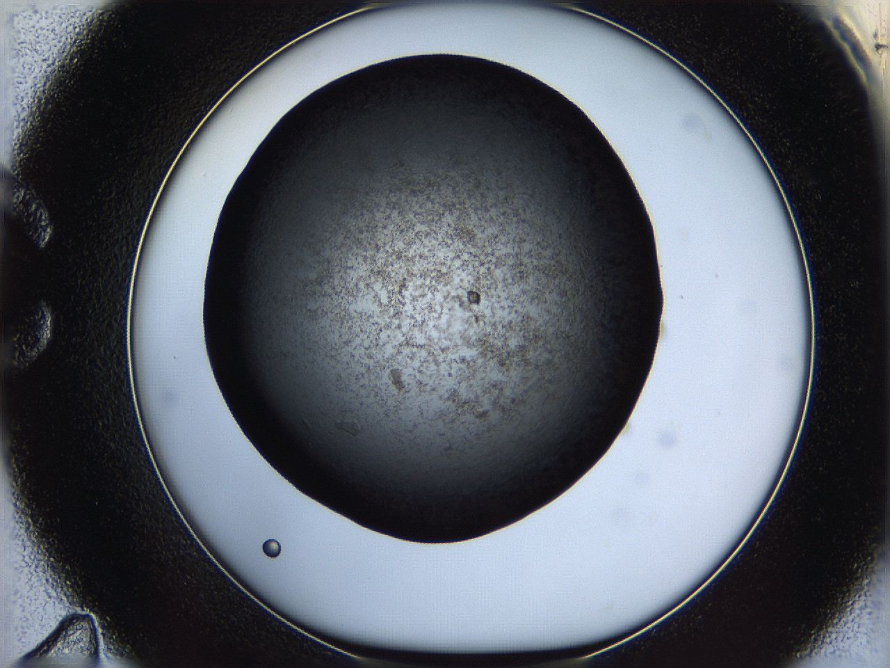 0612_C11_ImagerDefaults_6.jpg