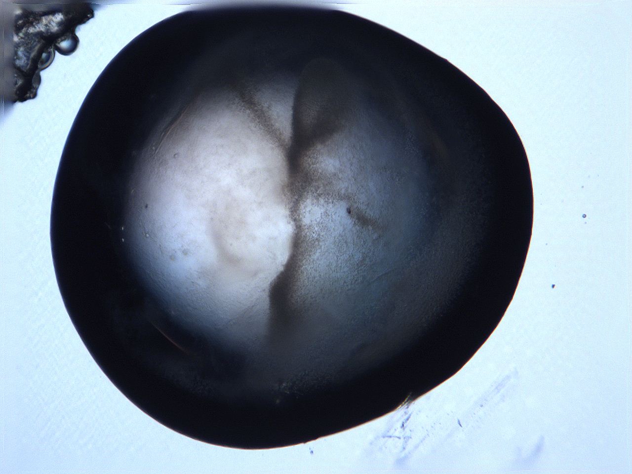 0616_B1_ImagerDefaults_3.jpg