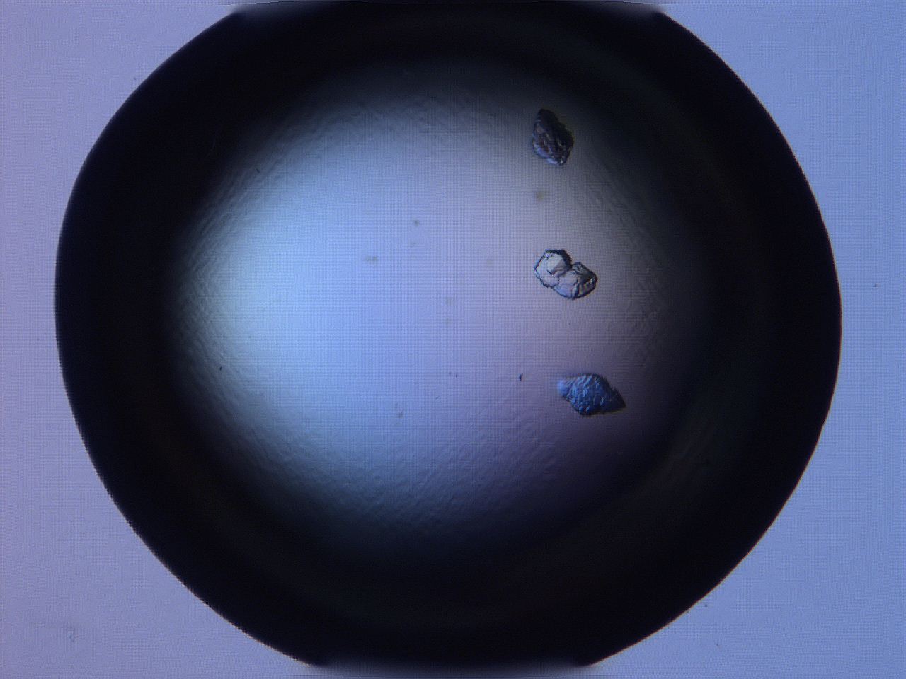 0616_A3_ImagerDefaults_9.jpg