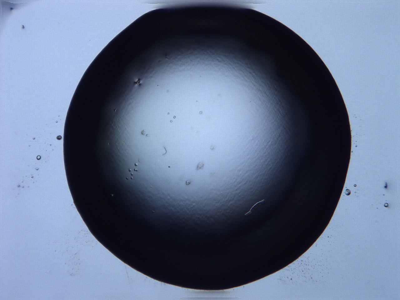 0616_B6_ImagerDefaults_0.jpg