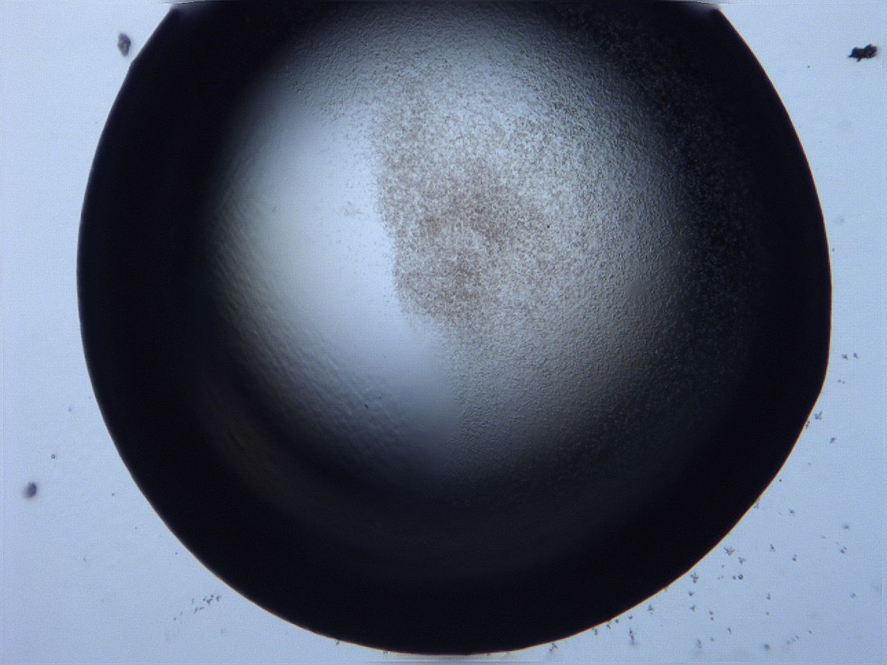 0616_A12_ImagerDefaults_3.jpg