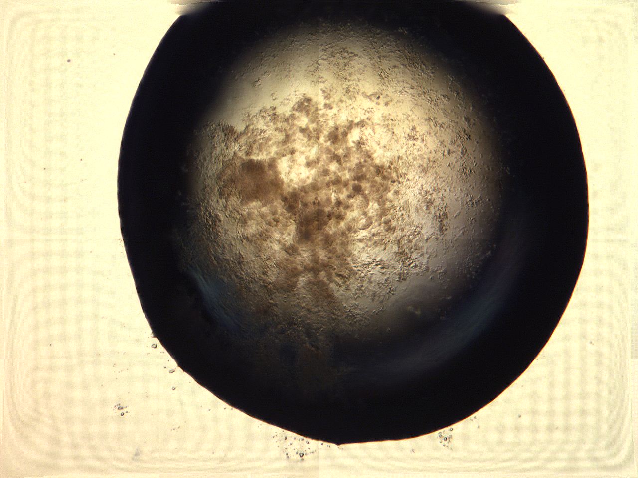 0616_A11_ImagerDefaults_3.jpg