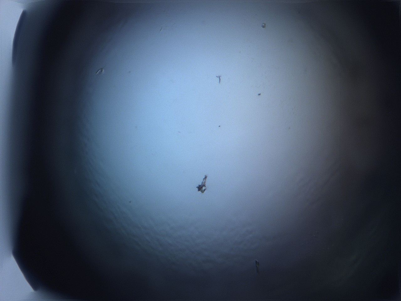 0616_C4_ImagerDefaults_0.jpg
