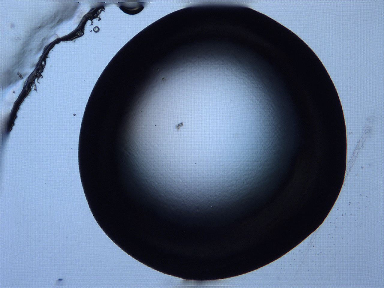 0616_C5_ImagerDefaults_0.jpg