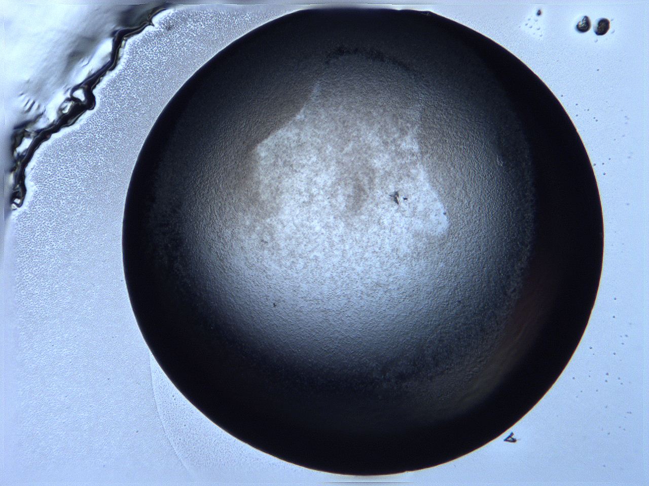 0616_C8_ImagerDefaults_3.jpg