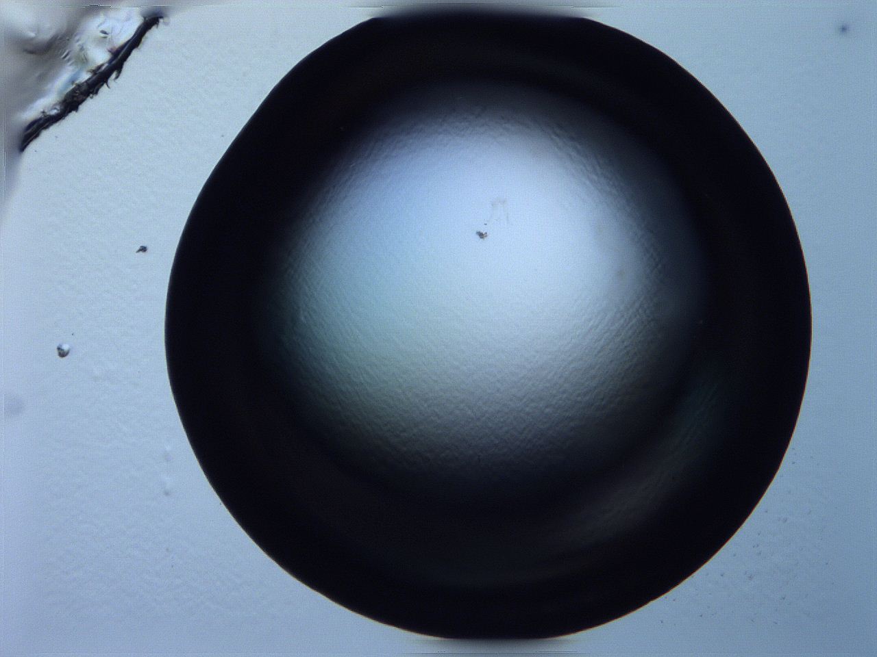 0616_C10_ImagerDefaults_0.jpg