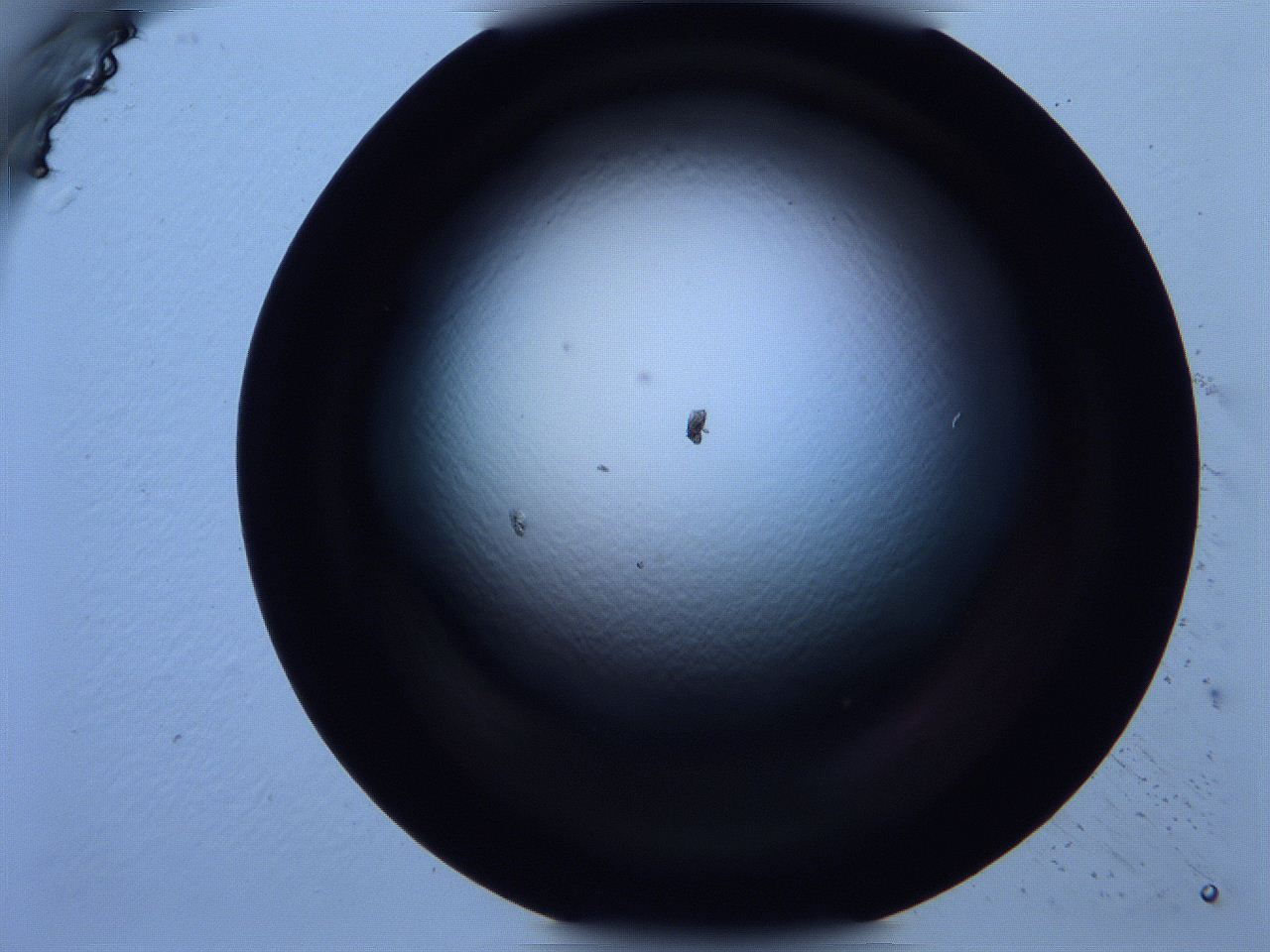 0616_C12_ImagerDefaults_0.jpg