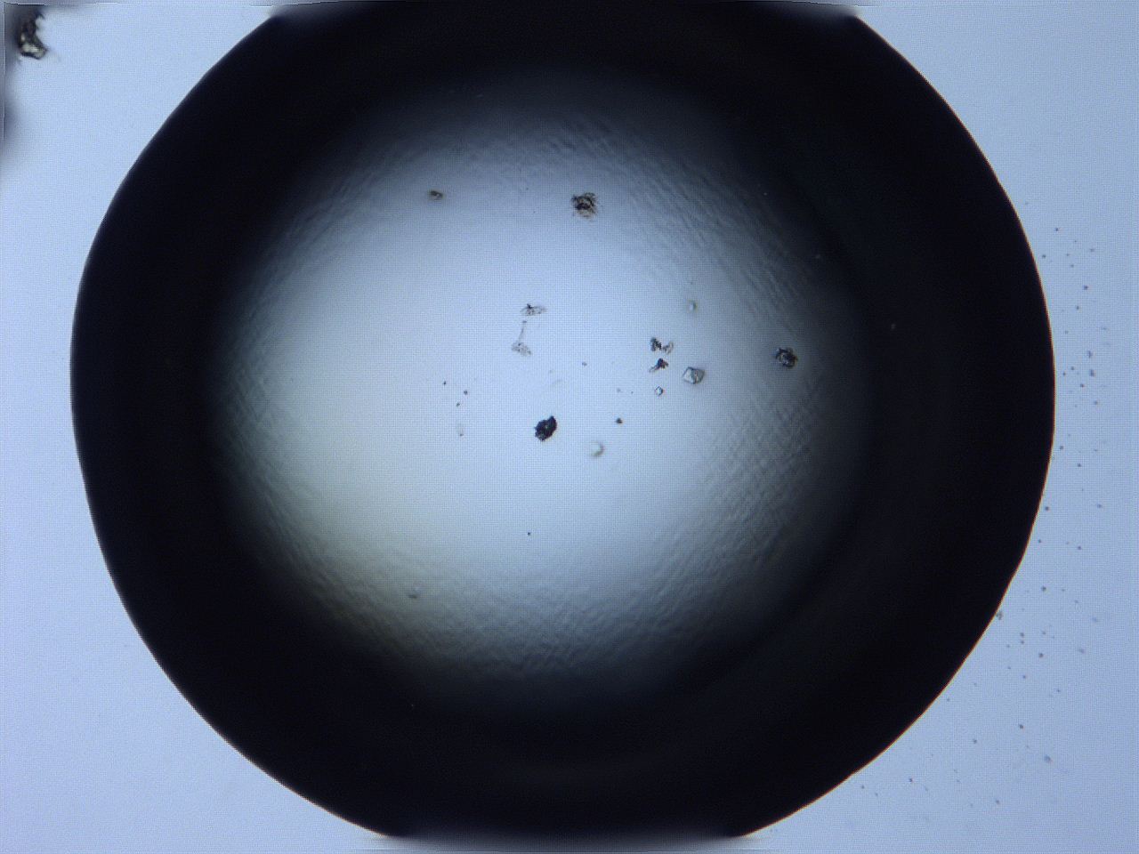 0616_D1_ImagerDefaults_9.jpg