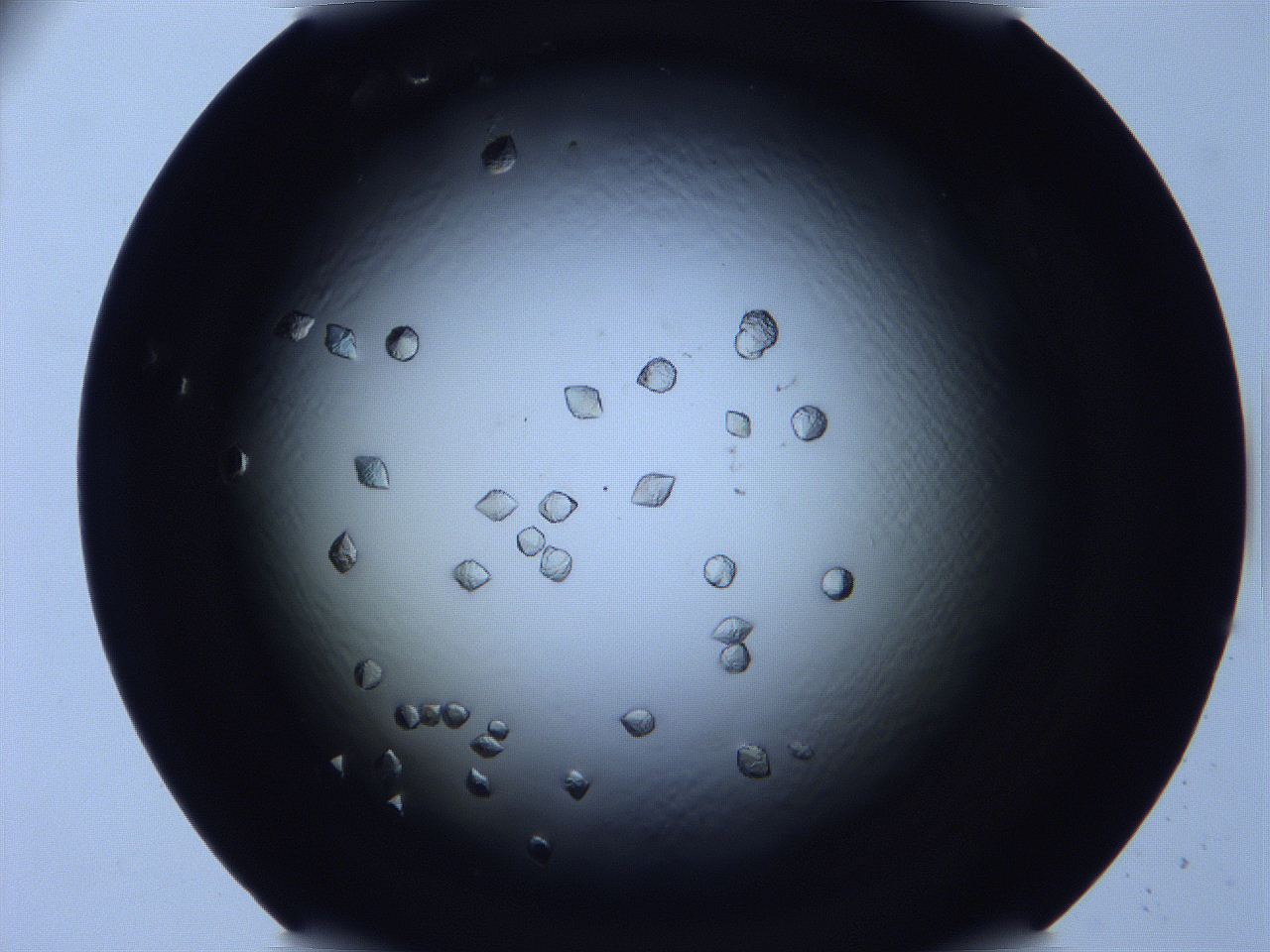 0616_D2_ImagerDefaults_9.jpg
