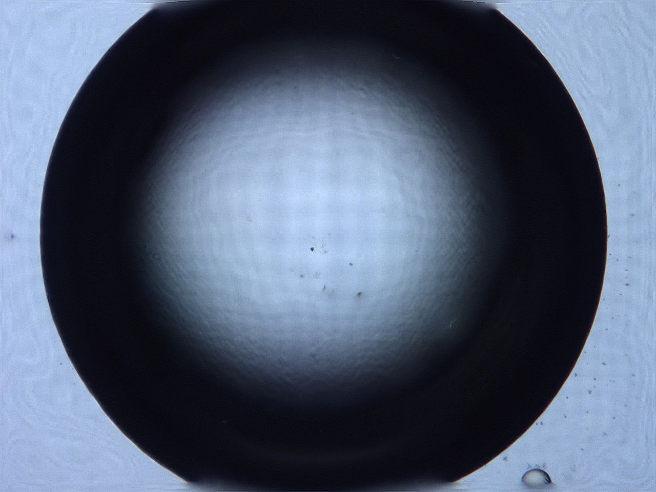 0616_D5_ImagerDefaults_0.jpg