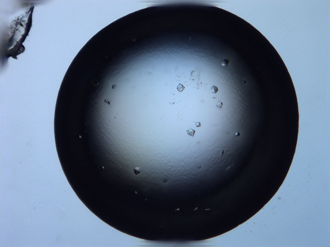 0616_D7_ImagerDefaults_9.jpg