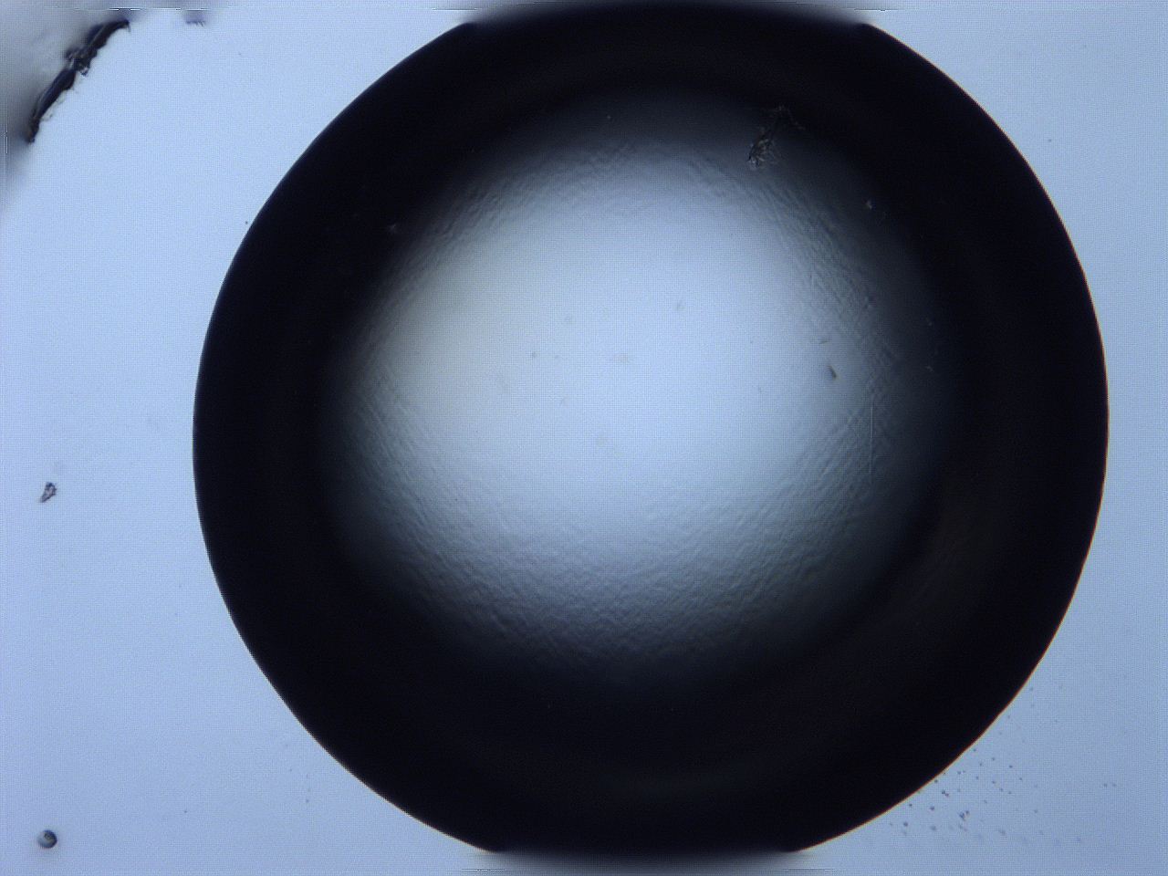 0616_D8_ImagerDefaults_0.jpg